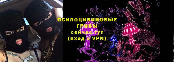 стафф Абинск