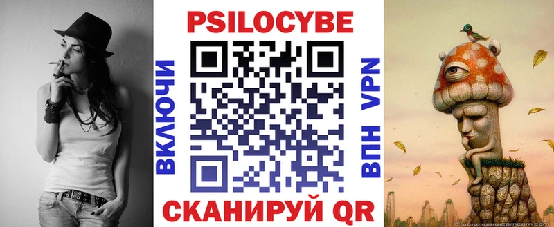 Галлюциногенные грибы Psilocybe маркетплейс официальный сайт Шилка